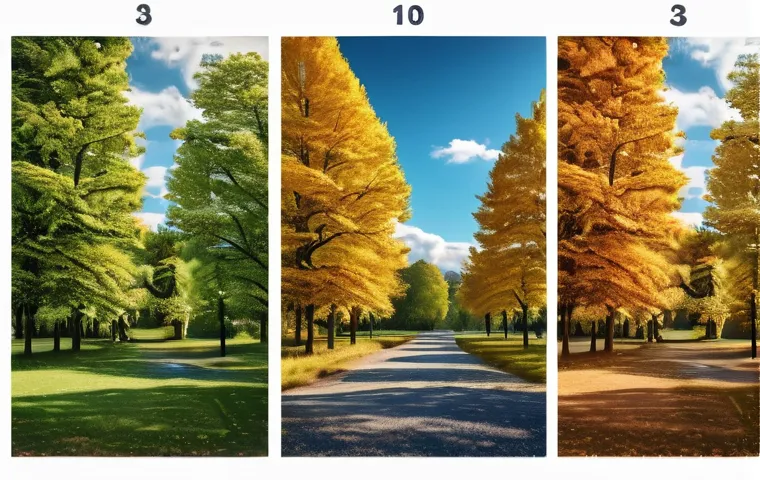 미술문화기획사의 글로벌 프로젝트 성공 사례 - Here are three image generation prompts in English, adhering to your guidelines: